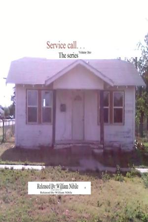 Cover of the book Service Call. . . The Series Volume One by Lara Simon