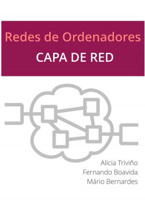 bigCover of the book Redes de Ordenadores: Capa de Red by 