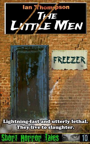 Cover of the book The Little Men by Larry Darter