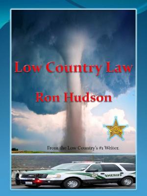 bigCover of the book Low Country Law by 
