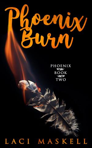 bigCover of the book Phoenix Burn by 