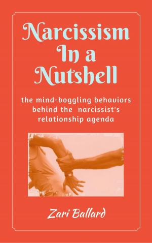 Book cover of Narcissism In a Nutshell: The Mind-Boggling Behaviors Behind the Narcissist's Relationship Agenda