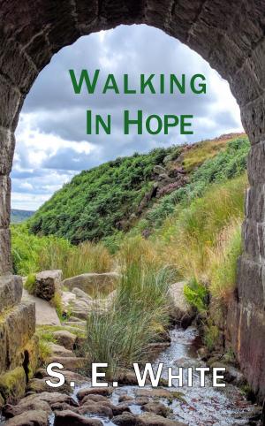 bigCover of the book Walking in Hope by 