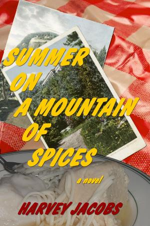 Cover of the book Summer on a Mountain of Spices by Craig Strete