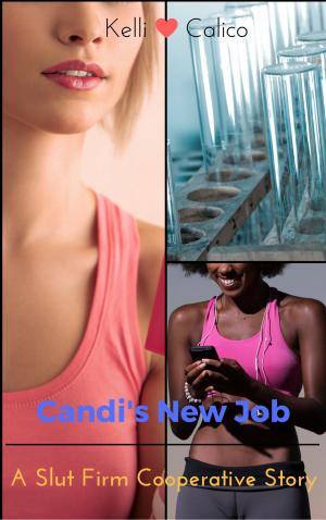 Cover of the book Slut Firm Cooperative: Candi's New Job by Fabian Black