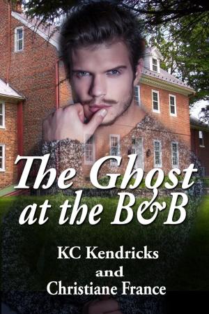 Cover of the book The Ghost at the B&B by Kristine Williams