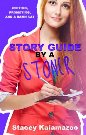 Cover of Story Guide by a Stoner