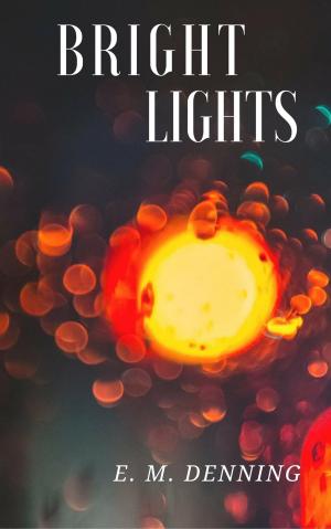 Cover of the book Bright Lights by M.E. Carter