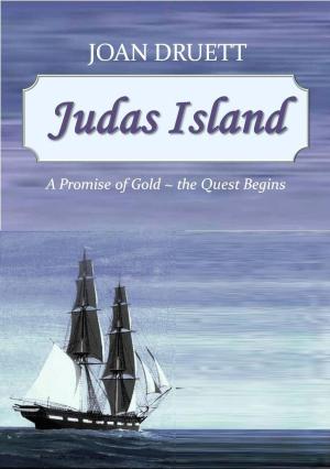 Book cover of Judas Island
