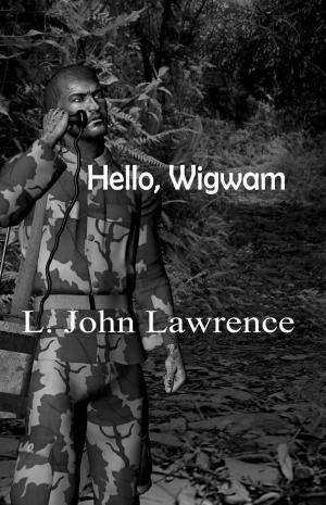 Book cover of Hello, Wigwam