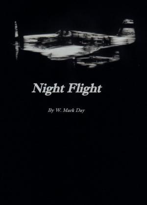 Cover of the book Night Flight by Simon Dunn