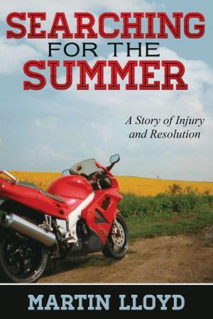 Cover of the book Searching for the Summer: A Story of Injury and Resolution by Andrew Melvin