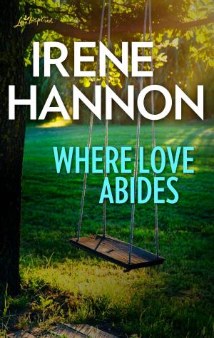 Cover of the book Where Love Abides by Virna DePaul, Elizabeth Heiter, Rebecca York