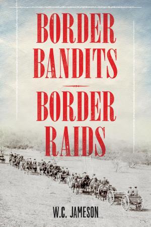Cover of the book Border Bandits, Border Raids by Stacey Culpepper