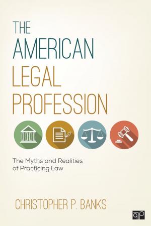 Cover of the book The American Legal Profession by Jonathan M. Kropko