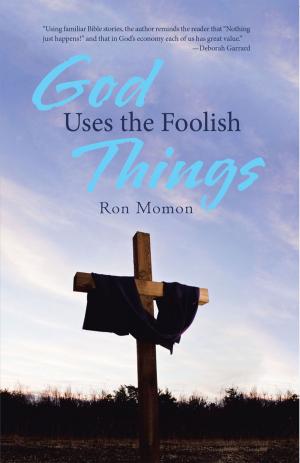 Cover of the book God Uses the Foolish Things by Jeremy J. Lundmark