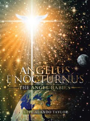 Cover of the book Angelus E’Nocturnus by David Hutchings