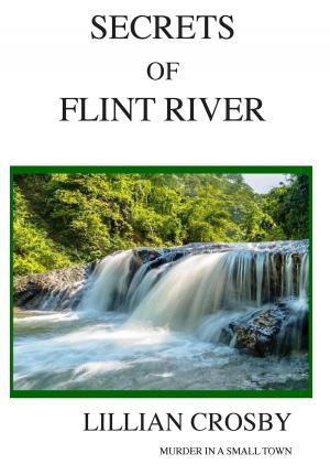 bigCover of the book Secrets of Flint River by 