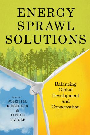 Cover of the book Energy Sprawl Solutions by Richard W. Willson