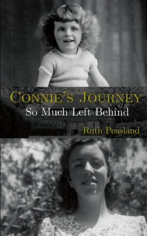 Book cover of Connie's Journey