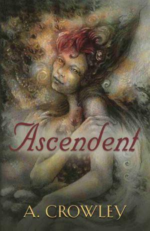 Cover of the book Ascendent by Kiona Willoughby