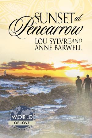 Cover of the book Sunset at Pencarrow by Adriane Boyd