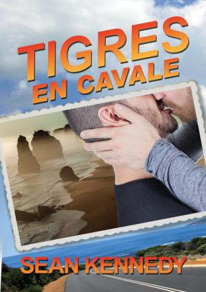 Cover of the book Tigres en cavale by Tom Early