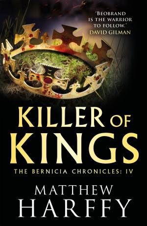 Cover of the book Killer of Kings by Mike Daniels