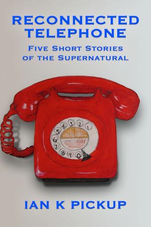 Cover of the book Reconnected Telephone by Debbie McGowan, Raine O'Tierney