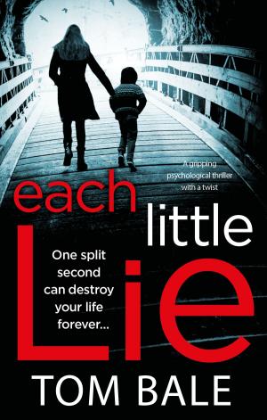 Cover of the book Each Little Lie by Karen Clarke