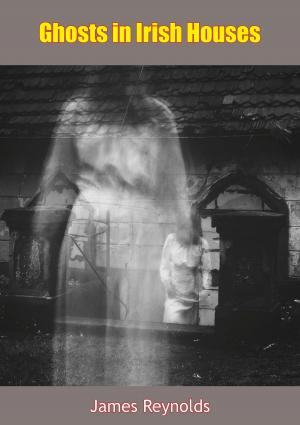 Cover of the book Ghosts in Irish Houses by M. I. McCreight