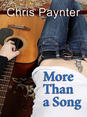 Cover of the book More Than a Song by Skye Eagleday