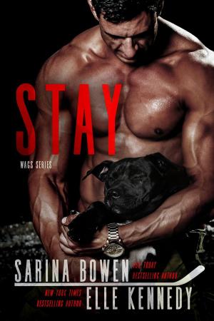 Cover of the book Stay by Kathy Lyons