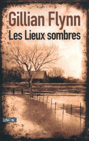 Book cover of Les Lieux sombres