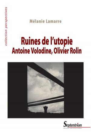 Cover of Ruines de l'utopie. Antoine Volodine, Olivier Rolin