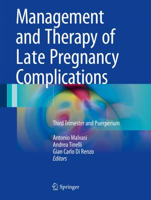 Cover of the book Management and Therapy of Late Pregnancy Complications by 