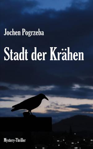 Cover of the book Stadt der Krähen by Norbert Heyse