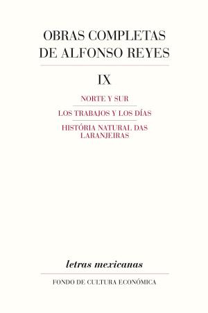 Cover of the book Obras completas, IX by Beatriz Espejo