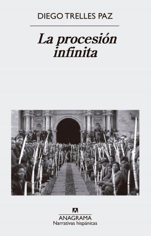 Cover of the book La procesión infinita by Daniel Cassany