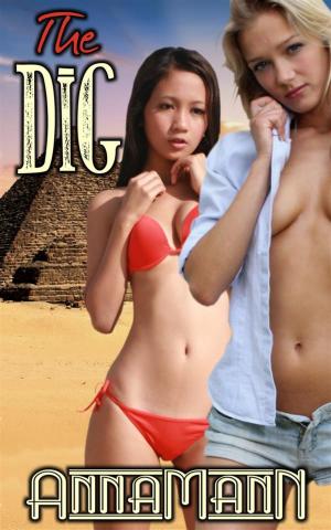 Cover of the book The Dig by Kay Nyne