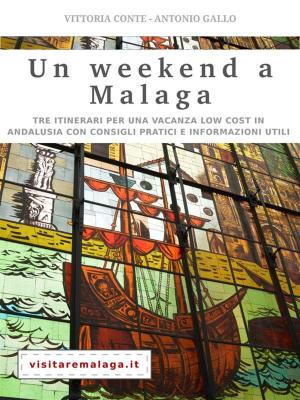 Book cover of Un weekend a Malaga