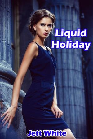 Cover of the book Liquid Holiday by Devon Hartford