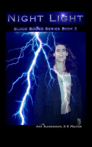 Cover of the book Night Light (Blood Bound Book 2) by Patrizia Barrera