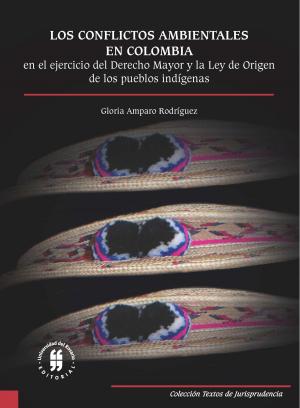 Cover of the book Los conflictos ambientales en Colombia by Andrés Vargas Valdés