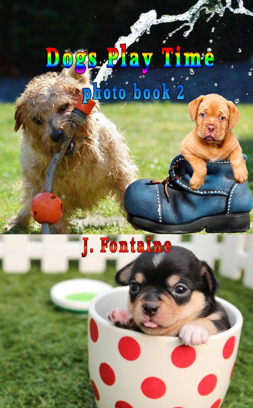 Cover of the book Dogs Play Time by Jamie Fontaine, J. Fontaine