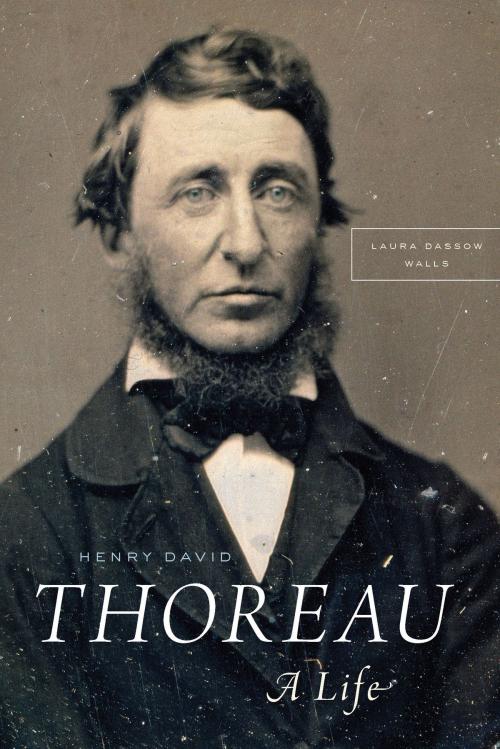 Cover of the book Henry David Thoreau by Laura Dassow Walls, University of Chicago Press