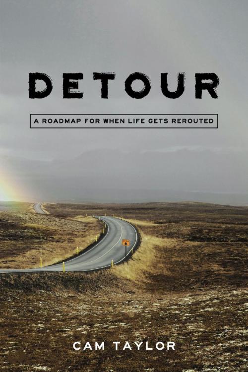 Cover of the book Detour by Cam Taylor, Infocus Publishing