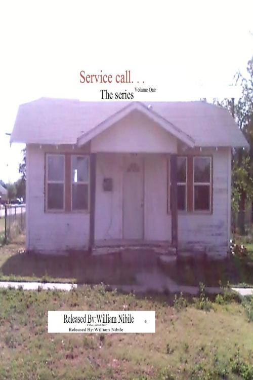 Cover of the book Service Call. . . The Series Volume One by William Nibile, William Nibile