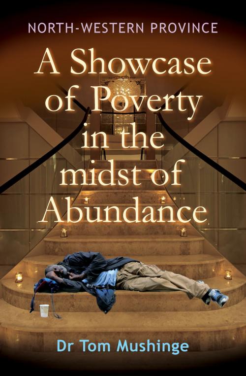 Cover of the book North-Western Province a Showcase of Poverty in the Midst of Abundance by Tom Mushinge, Tom Mushinge
