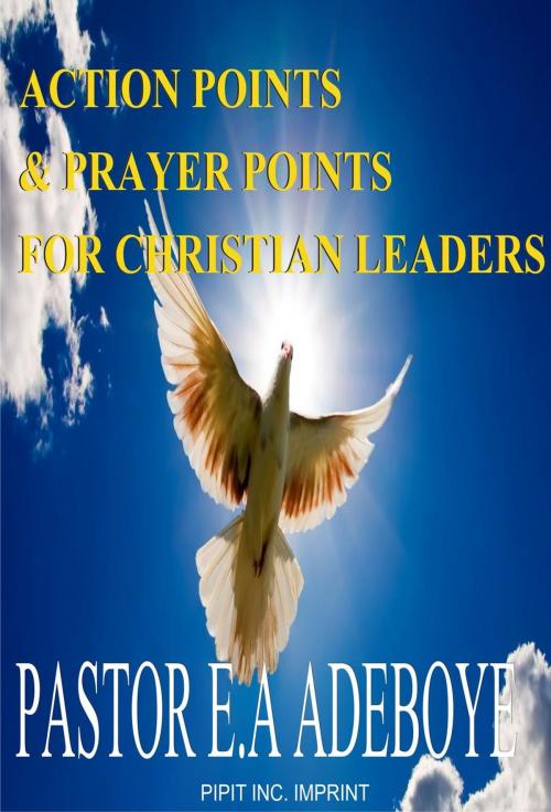 Cover of the book Action Points & Prayer Points For Christian Leaders by Pastor E. A Adeboye, Redemption Press